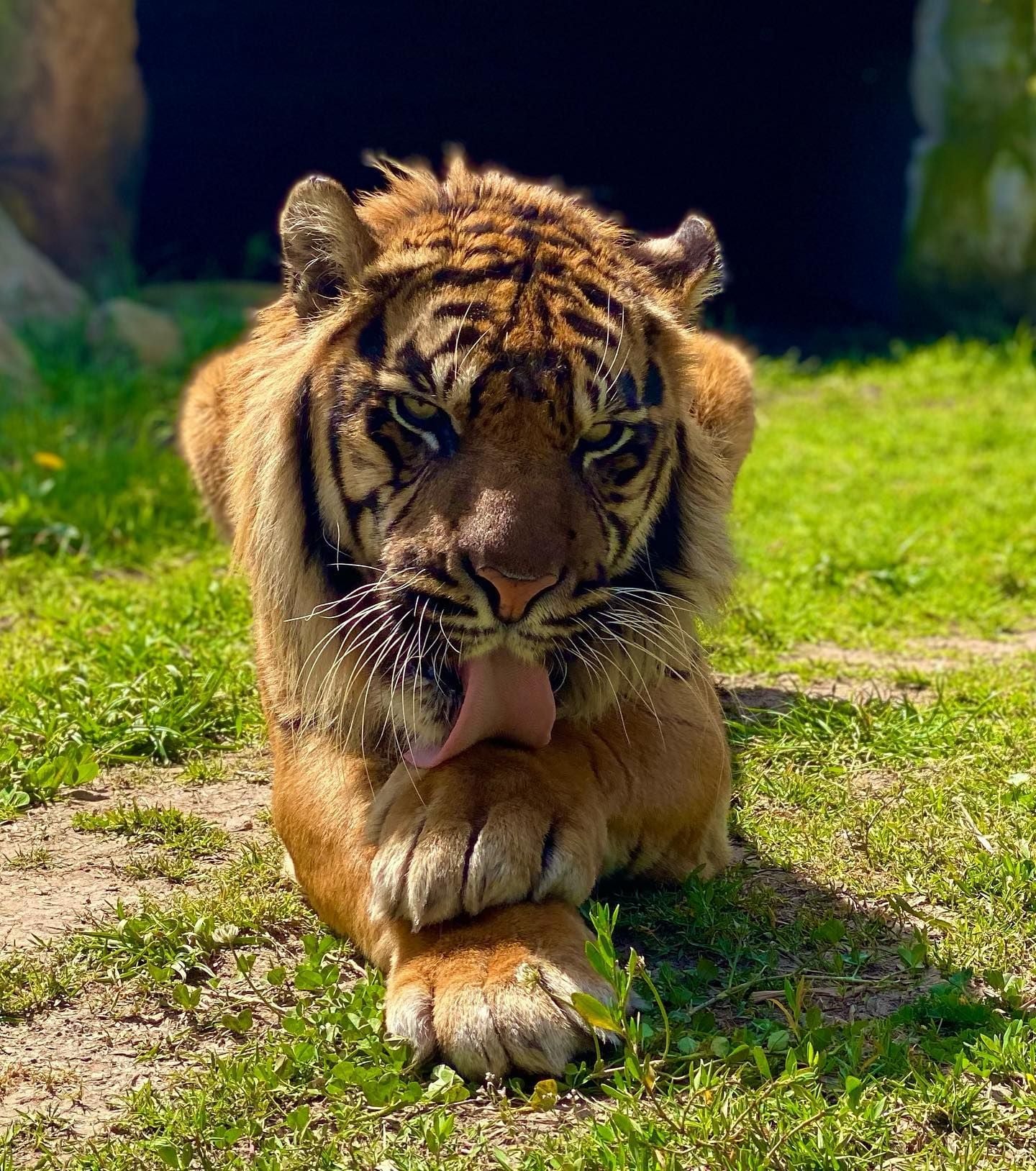 Sydney Zoo November Public Day Tour November 2022 Image -636ff9d97cd17